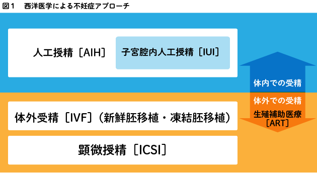 図1 西洋医学による不妊症アプローチ