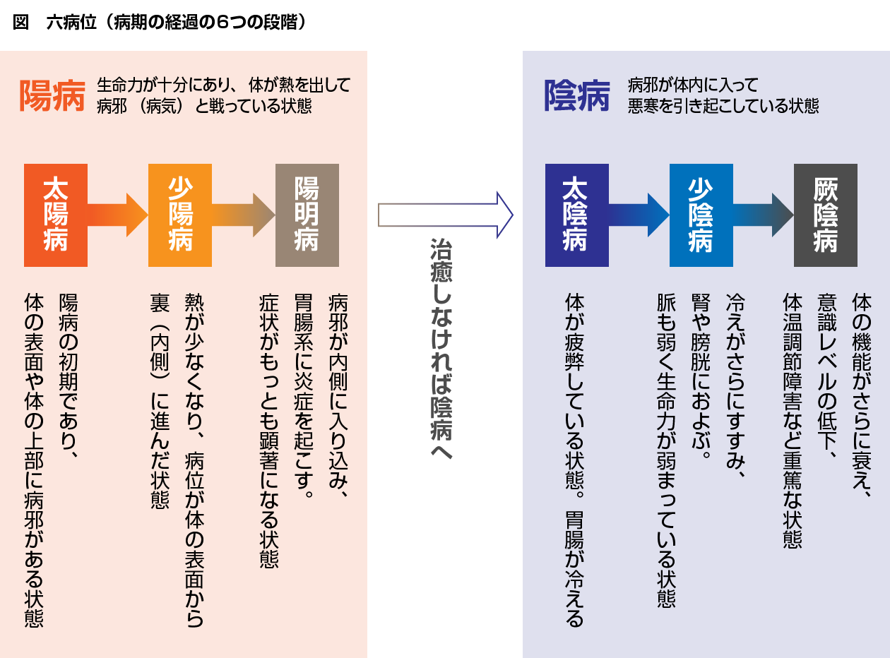 図　六病位（病期の経過の6つの段階）