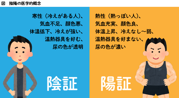 図　陰陽の医学的概念